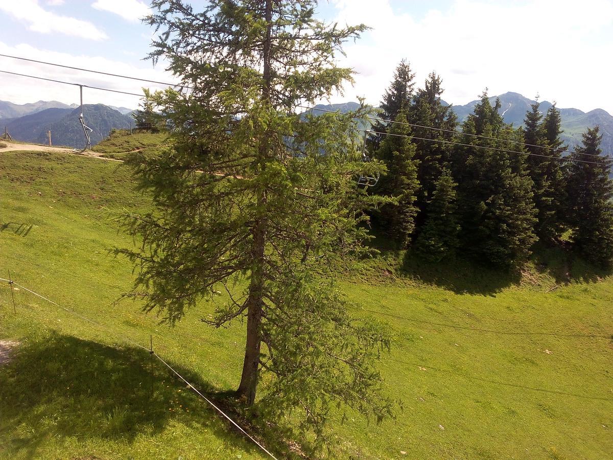 Gasthof-Pension Frohnwies Weißbach bei Lofer Eksteriør bilde